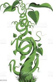 Illustration of a large beanstalk which shows what could cause anxiety in children. With child therapy in the Washington DC area and Baltimore you can get support for your kid.